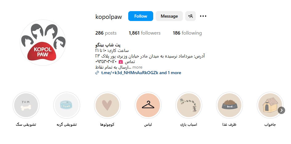 پت شاپ بینگو