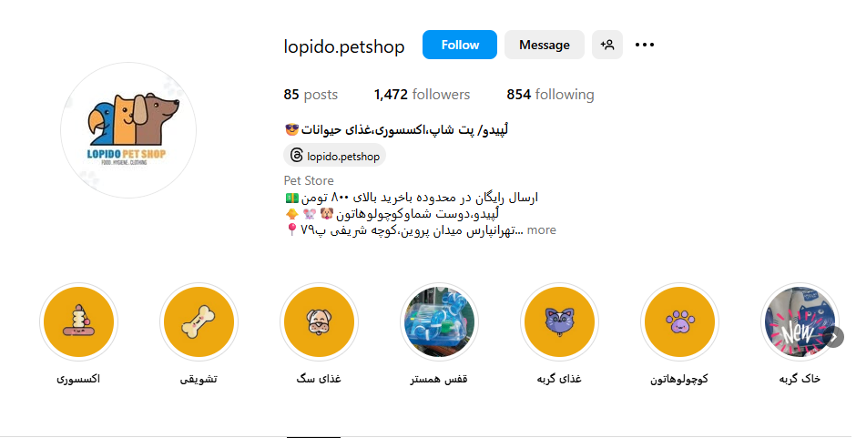 پت شاپ لپیدو