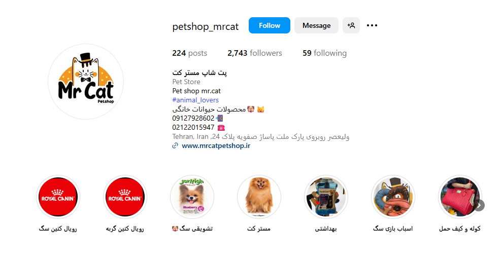 پت شاپ مستر کت