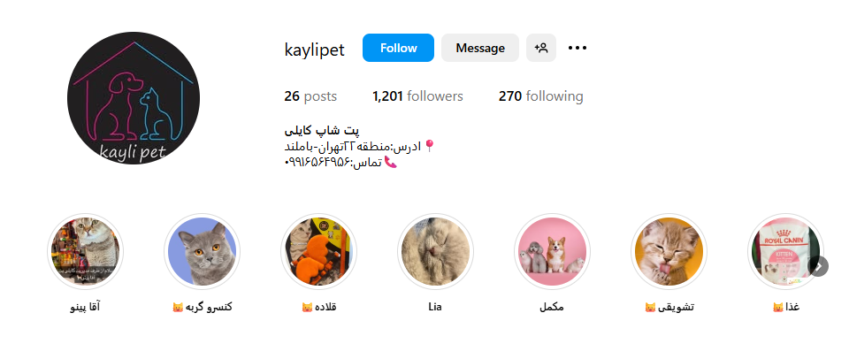 پت شاپ کایلی