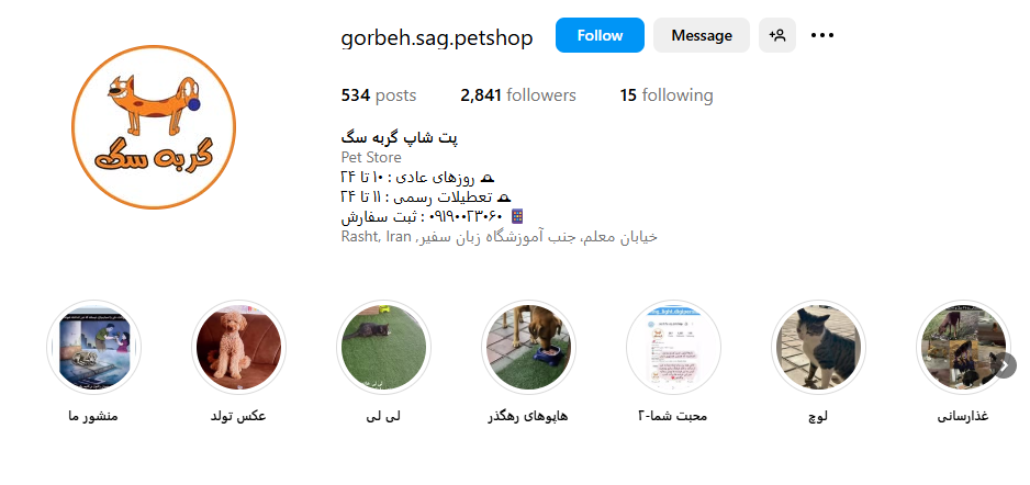 پت شاپ گربه سگ رشت