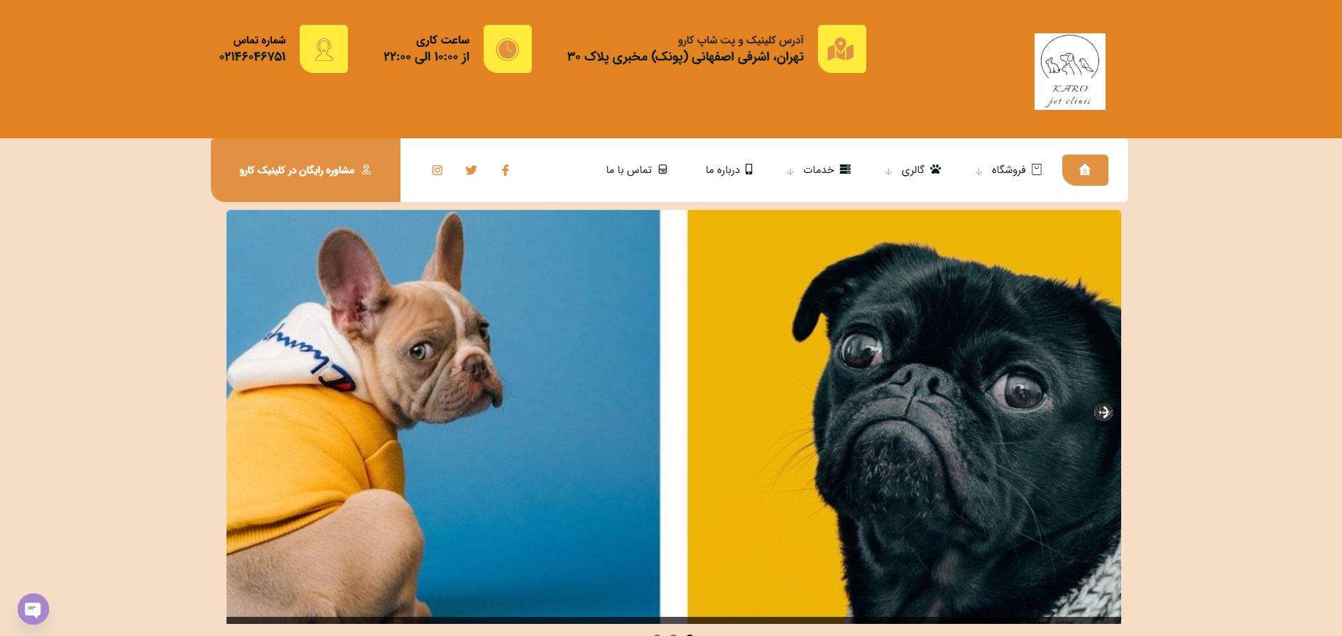 سایت کلینیک دامپزشکی و پت شاپ کارو
