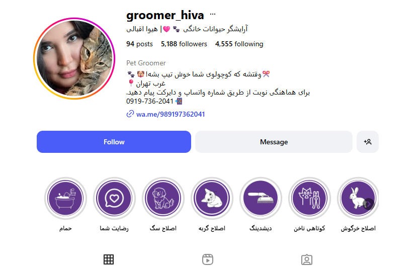 وی آی پت vi pet clinic