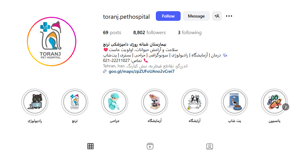 پانسیون سگ و گربه ترنج در اندرزگو