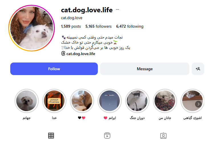 پت شاپ دنیای حیوانات سوهانک