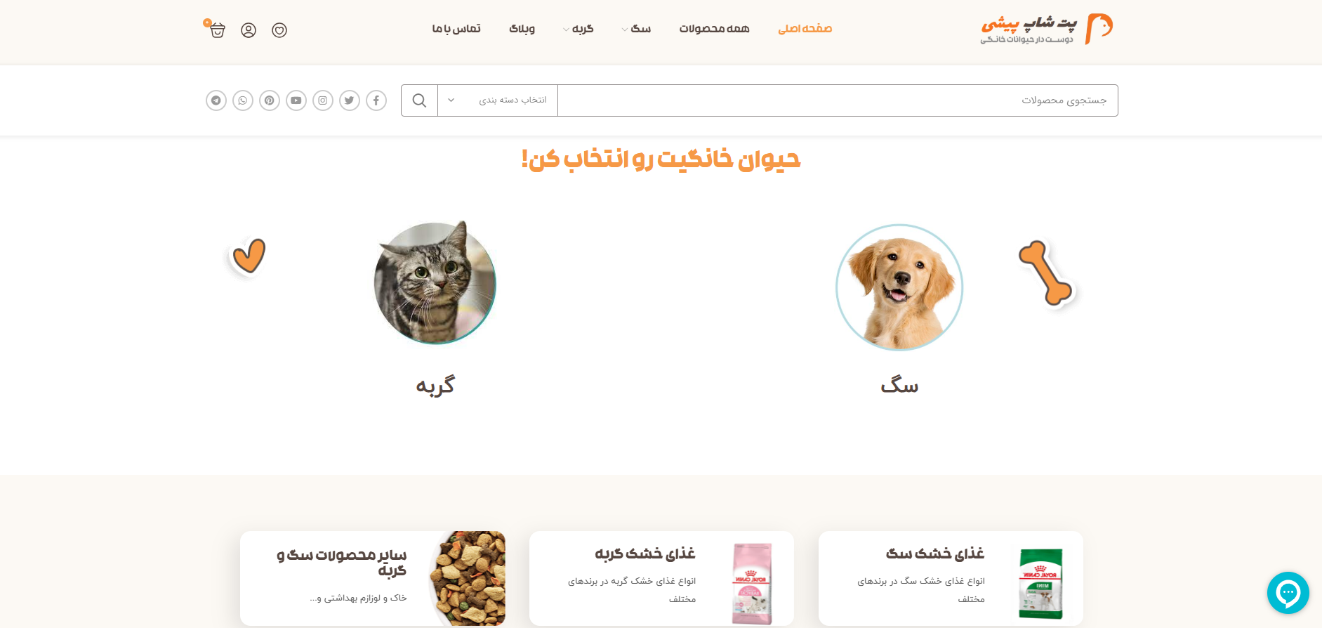 پت شاپ پیشی سعادت آباد