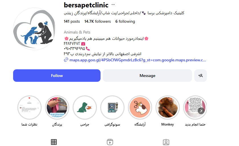 کلینیک دامپزشکی و پت شاپ برسا پونک