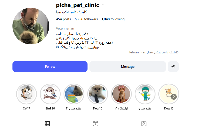 کلینیک دامپزشکی پیچا پونک