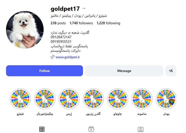 گلد پت شاپ پونک