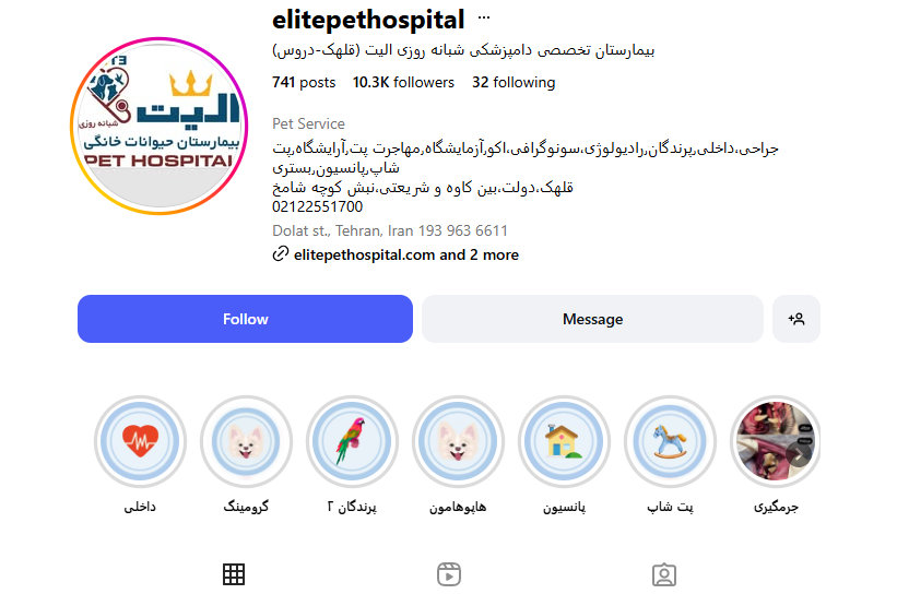 پتشاپ شبانه روزی و بیمارستان دامپزشکی الیت